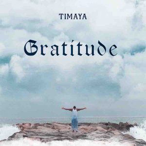 Timaya - Born To Win (Prod. by Yung Willis)