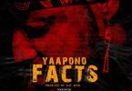 Yaa Pono - Facts (Shatta Wale Diss)