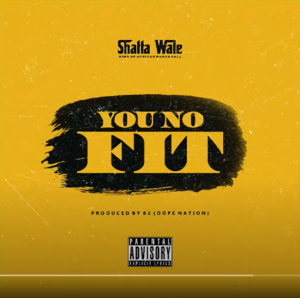 Shatta Wale - You No Fit