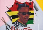 amerado ponky joe instrumental