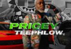 Teephlow - Pricey