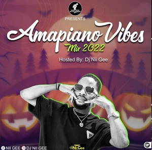 dj nii gee amapiano vibe mix 2022