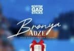 Kopow Bronya Adze Instrumental