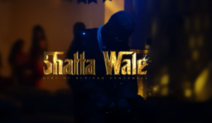 Shatta Wale - Adole Video