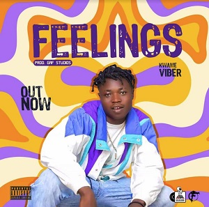 Kwame Viber - Feelings