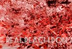 reach dollar ontherace video