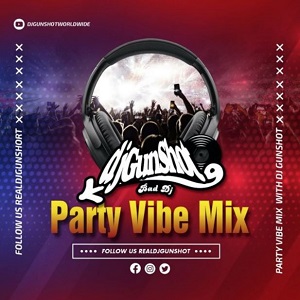 dj gunshot – party vybz (mixtape)