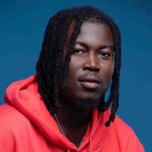 Wisa Greid - Fine