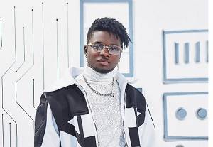 dr. amina haarun, the doctor who disclosed kuami eugene's health status, has been suspended