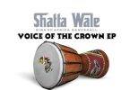 shatta wale – king in a life